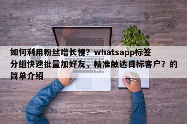 如何利用粉丝增长慢？whatsapp标签分组快速批量加好友，精准触达目标客户？的简单介绍
