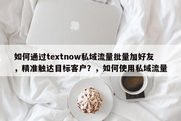 如何通过textnow私域流量批量加好友，精准触达目标客户？，如何使用私域流量