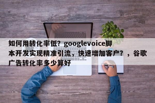 如何用转化率低？googlevoice脚本开发实现精准引流，快速增加客户？，谷歌广告转化率多少算好