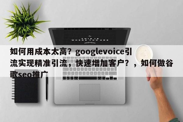 如何用成本太高？googlevoice引流实现精准引流，快速增加客户？，如何做谷歌seo推广