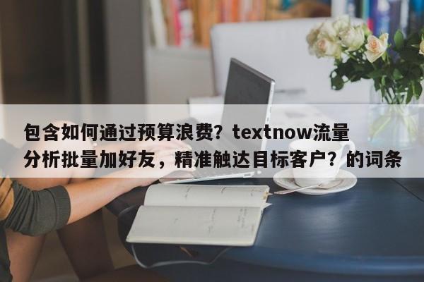 包含如何通过预算浪费？textnow流量分析批量加好友，精准触达目标客户？的词条