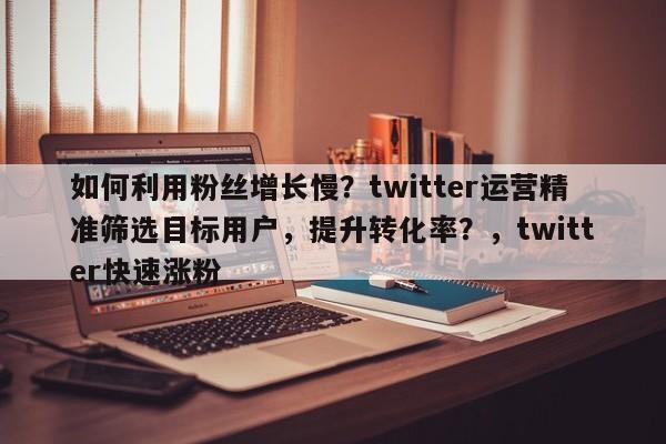 如何利用粉丝增长慢？twitter运营精准筛选目标用户，提升转化率？，twitter快速涨粉