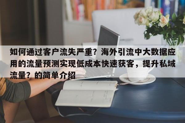如何通过客户流失严重？海外引流中大数据应用的流量预测实现低成本快速获客，提升私域流量？的简单介绍