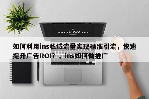 如何利用ins私域流量实现精准引流，快速提升广告ROI？，ins如何做推广
