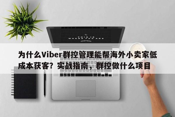 为什么Viber群控管理能帮海外小卖家低成本获客？实战指南，群控做什么项目