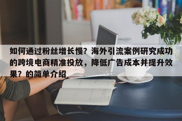 如何通过粉丝增长慢?海外引流案例研究成功的跨境电商精准投放,降低广告成本并提升效果?的简单介绍