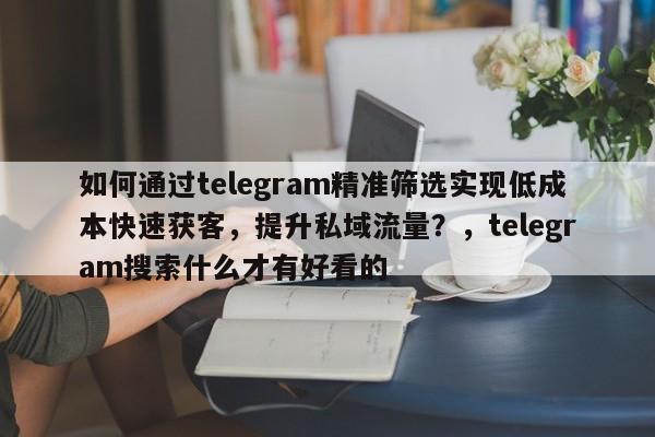 如何通过telegram精准筛选实现低成本快速获客，提升私域流量？，telegram搜索什么才有好看的