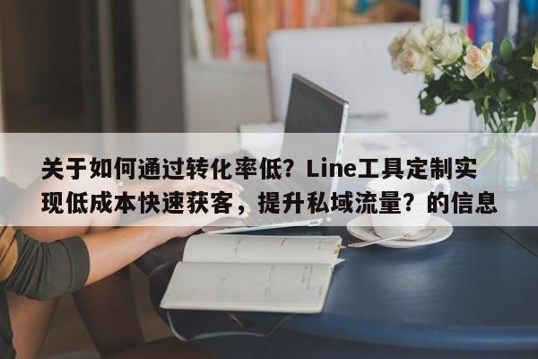 关于如何通过转化率低？Line工具定制实现低成本快速获客，提升私域流量？的信息