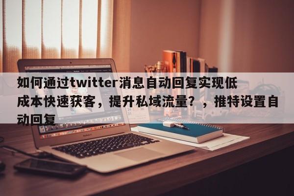 如何通过twitter消息自动回复实现低成本快速获客，提升私域流量？，推特设置自动回复