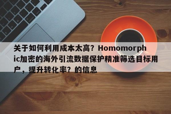 关于如何利用成本太高？Homomorphic加密的海外引流数据保护精准筛选目标用户，提升转化率？的信息