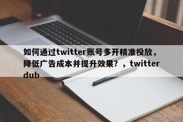 如何通过twitter账号多开精准投放，降低广告成本并提升效果？，twitterdub