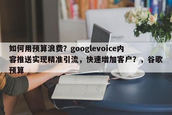 如何用预算浪费？googlevoice内容推送实现精准引流，快速增加客户？，谷歌预算
