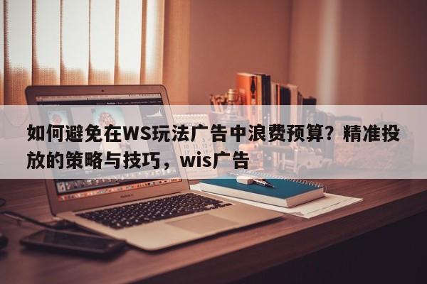 如何避免在WS玩法广告中浪费预算?精准投放的策略与技巧,wis广告