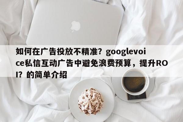 如何在广告投放不精准？googlevoice私信互动广告中避免浪费预算，提升ROI？的简单介绍