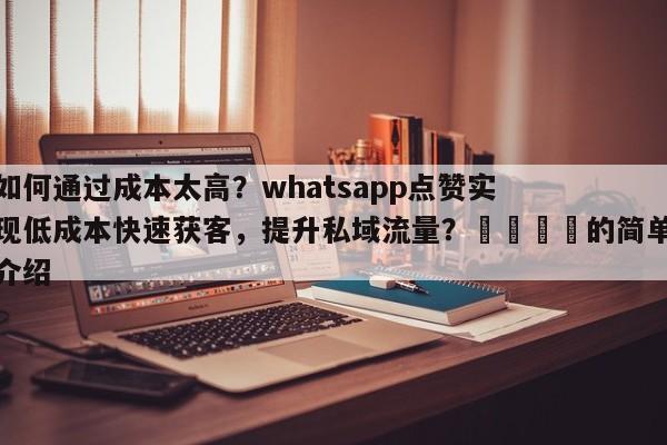 如何通过成本太高？whatsapp点赞实现低成本快速获客，提升私域流量？📣的简单介绍