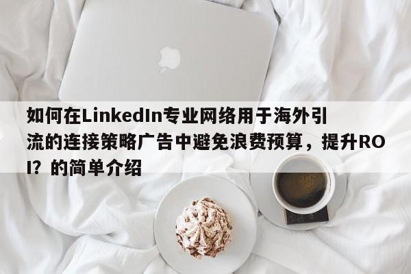 如何在LinkedIn专业网络用于海外引流的连接策略广告中避免浪费预算，提升ROI？的简单介绍
