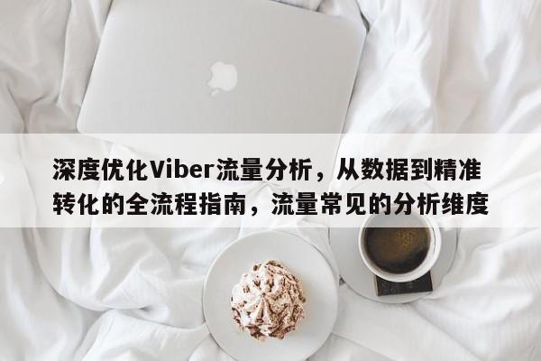 深度优化Viber流量分析，从数据到精准转化的全流程指南，流量常见的分析维度