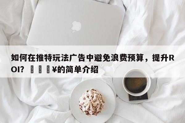 如何在推特玩法广告中避免浪费预算，提升ROI？🔥的简单介绍