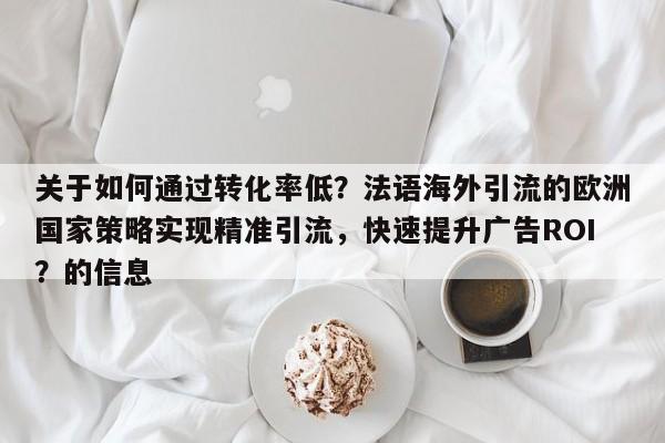 关于如何通过转化率低？法语海外引流的欧洲国家策略实现精准引流，快速提升广告ROI？的信息