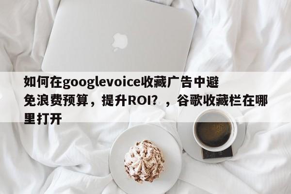 如何在googlevoice收藏广告中避免浪费预算，提升ROI？，谷歌收藏栏在哪里打开