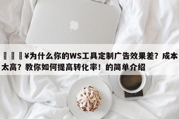 🔥为什么你的WS工具定制广告效果差?成本太高?教你如何提高转化率!的简单介绍