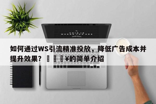 如何通过WS引流精准投放，降低广告成本并提升效果？💥的简单介绍