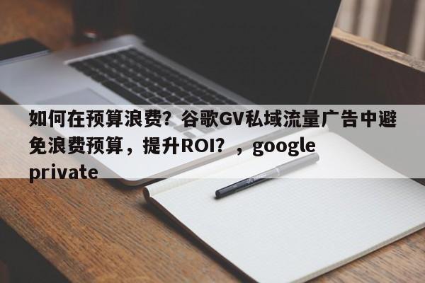 如何在预算浪费？谷歌GV私域流量广告中避免浪费预算，提升ROI？，google private