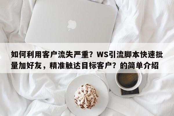 如何利用客户流失严重？WS引流脚本快速批量加好友，精准触达目标客户？的简单介绍