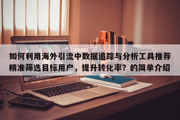 如何利用海外引流中数据追踪与分析工具推荐精准筛选目标用户，提升转化率？的简单介绍
