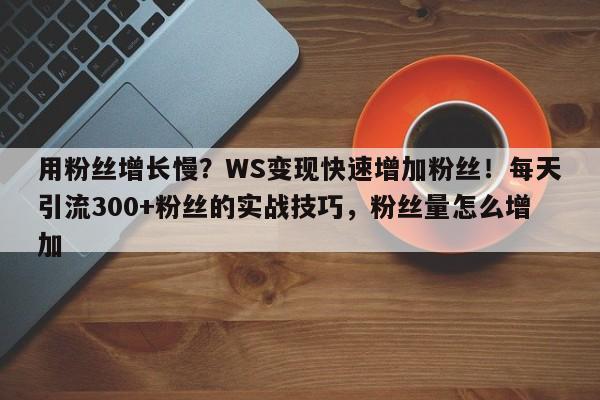 用粉丝增长慢?WS变现快速增加粉丝!每天引流300+粉丝的实战技巧,粉丝量怎么增加