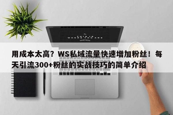用成本太高?WS私域流量快速增加粉丝!每天引流300+粉丝的实战技巧的简单介绍