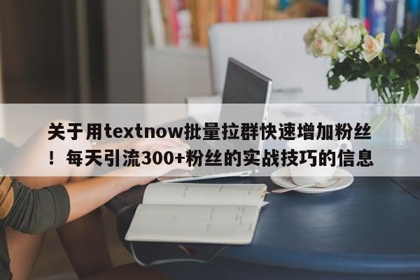 关于用textnow批量拉群快速增加粉丝！每天引流300+粉丝的实战技巧的信息