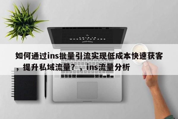 如何通过ins批量引流实现低成本快速获客，提升私域流量？，ins流量分析