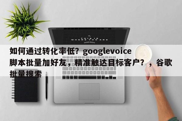 如何通过转化率低？googlevoice脚本批量加好友，精准触达目标客户？，谷歌批量搜索