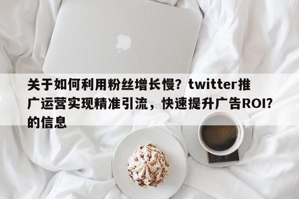关于如何利用粉丝增长慢？twitter推广运营实现精准引流，快速提升广告ROI？的信息
