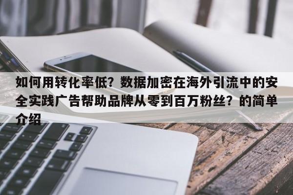 如何用转化率低？数据加密在海外引流中的安全实践广告帮助品牌从零到百万粉丝？的简单介绍