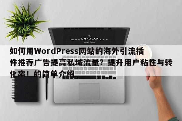 如何用WordPress网站的海外引流插件推荐广告提高私域流量?提升用户粘性与转化率!的简单介绍