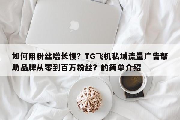 如何用粉丝增长慢?TG飞机私域流量广告帮助品牌从零到百万粉丝?的简单介绍