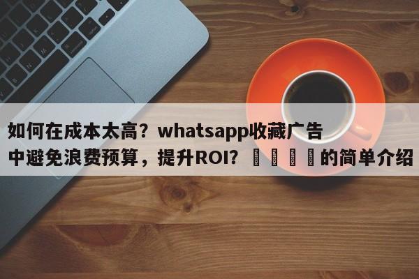 如何在成本太高？whatsapp收藏广告中避免浪费预算，提升ROI？📣的简单介绍