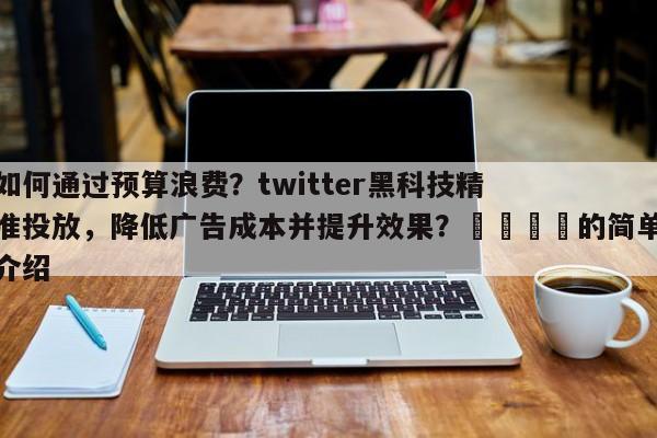 如何通过预算浪费？twitter黑科技精准投放，降低广告成本并提升效果？📣的简单介绍
