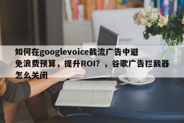 如何在googlevoice截流广告中避免浪费预算，提升ROI？，谷歌广告拦截器怎么关闭