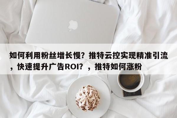 如何利用粉丝增长慢？推特云控实现精准引流，快速提升广告ROI？，推特如何涨粉