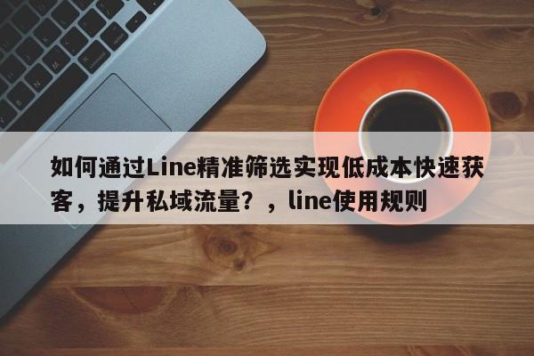 如何通过Line精准筛选实现低成本快速获客,提升私域流量?,line使用规则