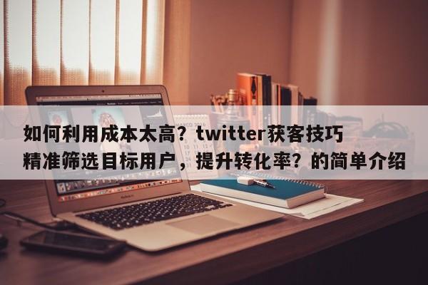 如何利用成本太高？twitter获客技巧精准筛选目标用户，提升转化率？的简单介绍