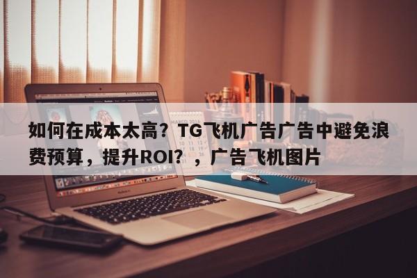如何在成本太高？TG飞机广告广告中避免浪费预算，提升ROI？，广告飞机图片