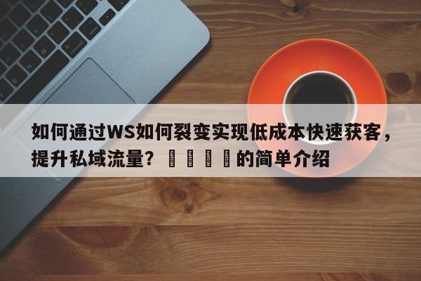 如何通过WS如何裂变实现低成本快速获客，提升私域流量？📣的简单介绍