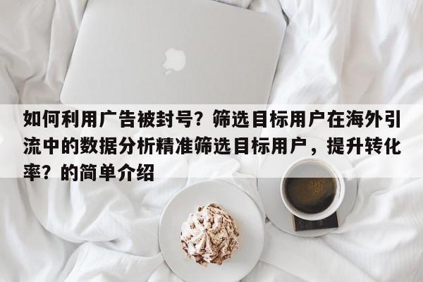 如何利用广告被封号？筛选目标用户在海外引流中的数据分析精准筛选目标用户，提升转化率？的简单介绍