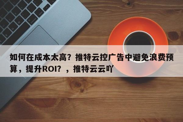 如何在成本太高？推特云控广告中避免浪费预算，提升ROI？，推特云云吖