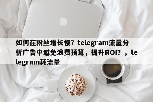 如何在粉丝增长慢？telegram流量分析广告中避免浪费预算，提升ROI？，telegram耗流量