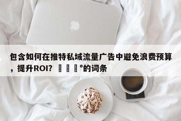包含如何在推特私域流量广告中避免浪费预算，提升ROI？💰的词条
